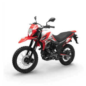 Zmoto SX1 220